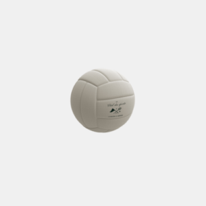 Ballon de voley